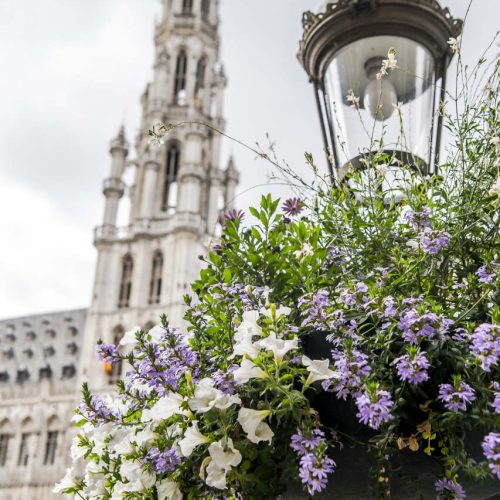 enjoy the city bruxelles en fleurs 13