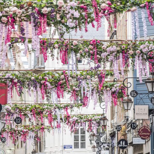 enjoy the city bruxelles en fleurs 15