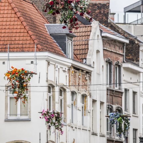 enjoy the city bruxelles en fleurs 4