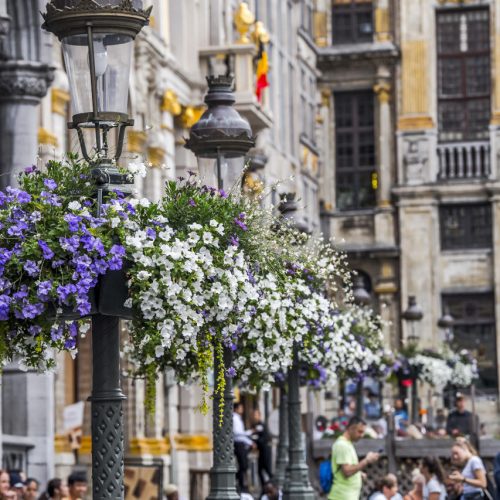 enjoy the city bruxelles en fleurs 7